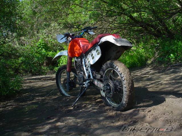 Photo 25786
