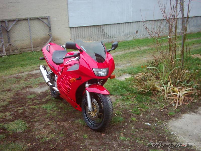 Photo 257861