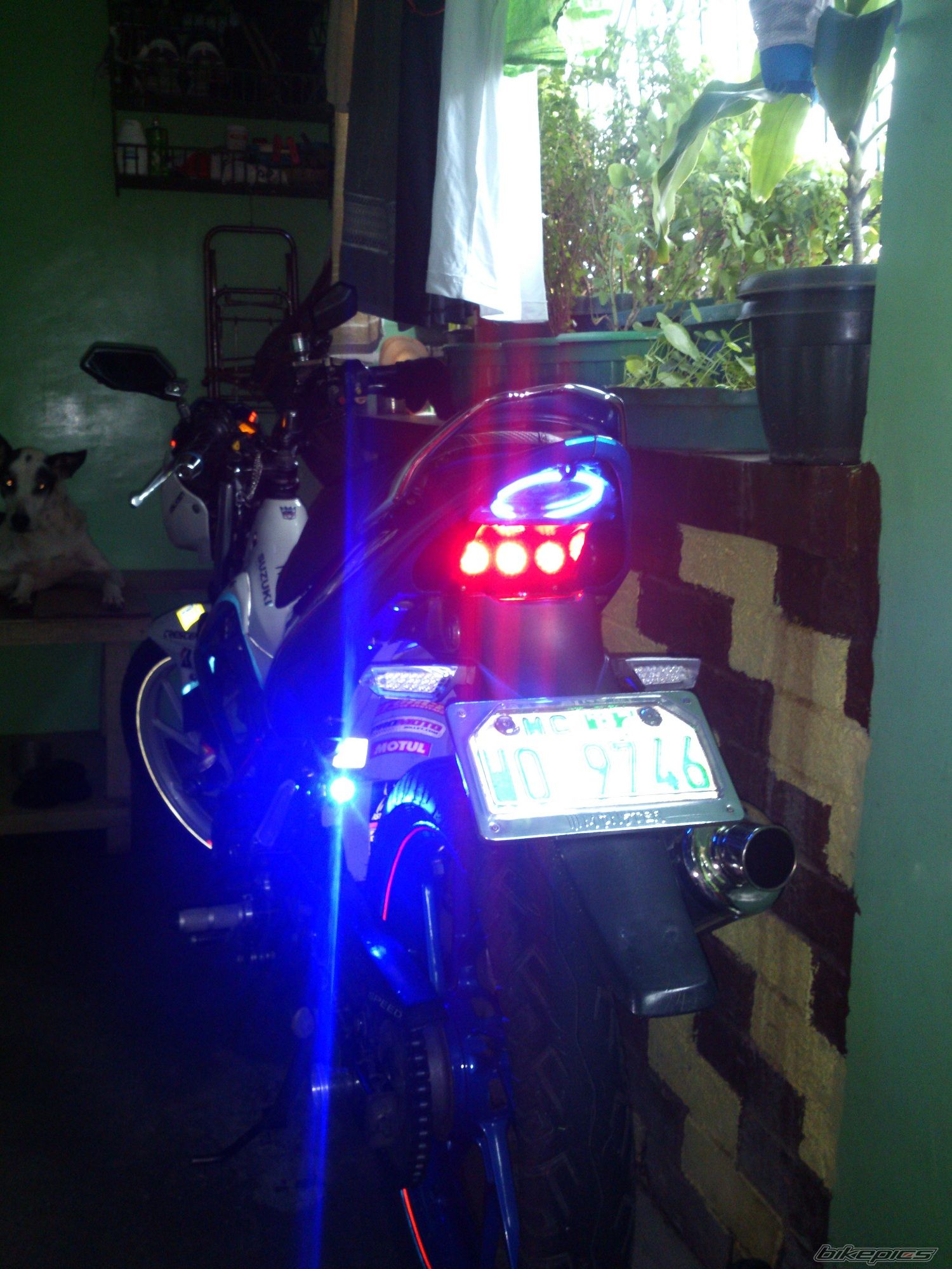 Photo 2578666