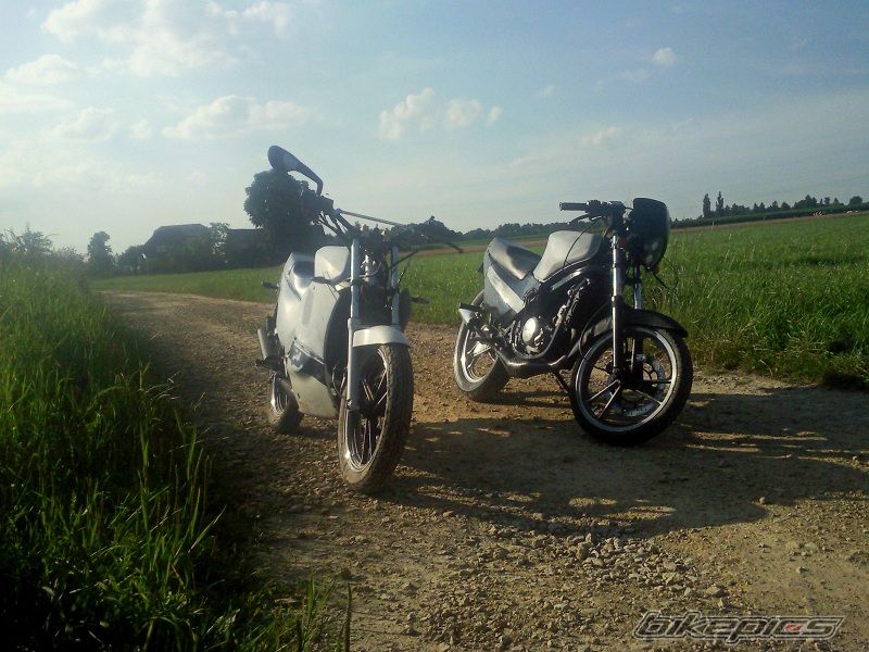 Photo 2578795