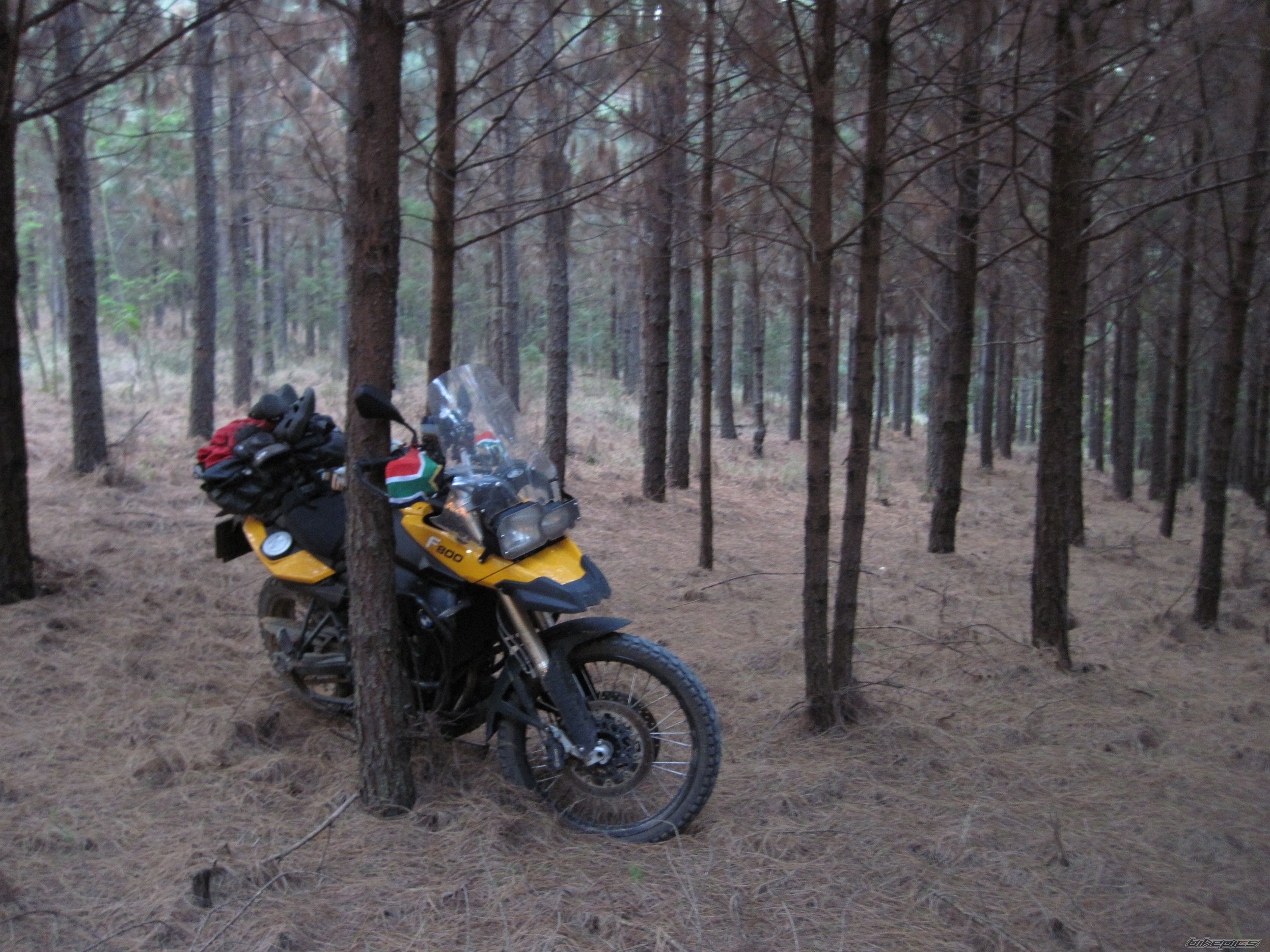Photo 2578819