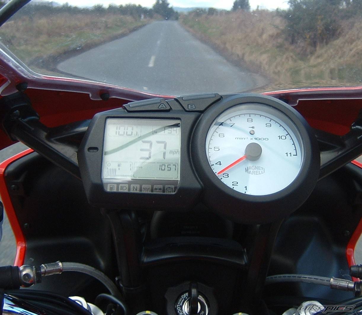 Photo 257884
