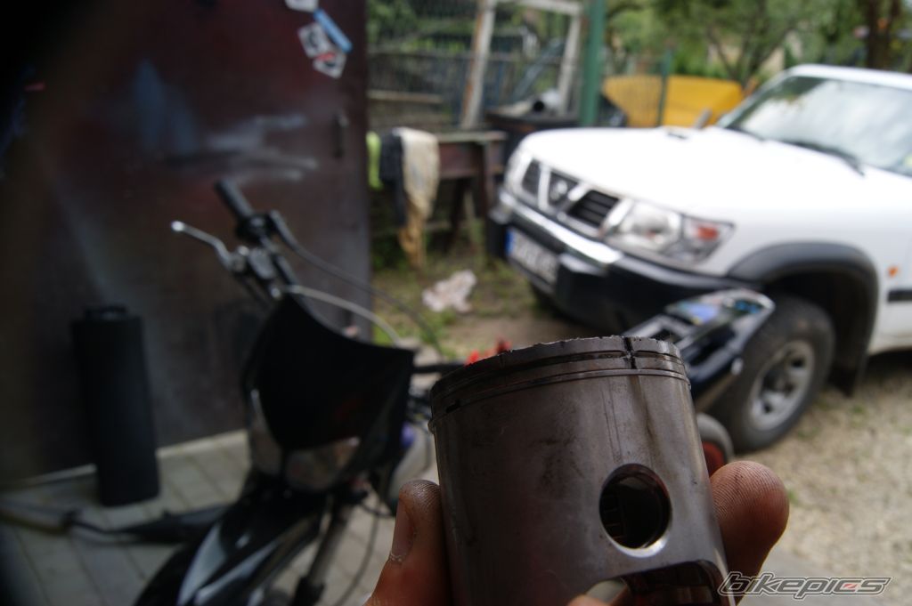Photo 2578865