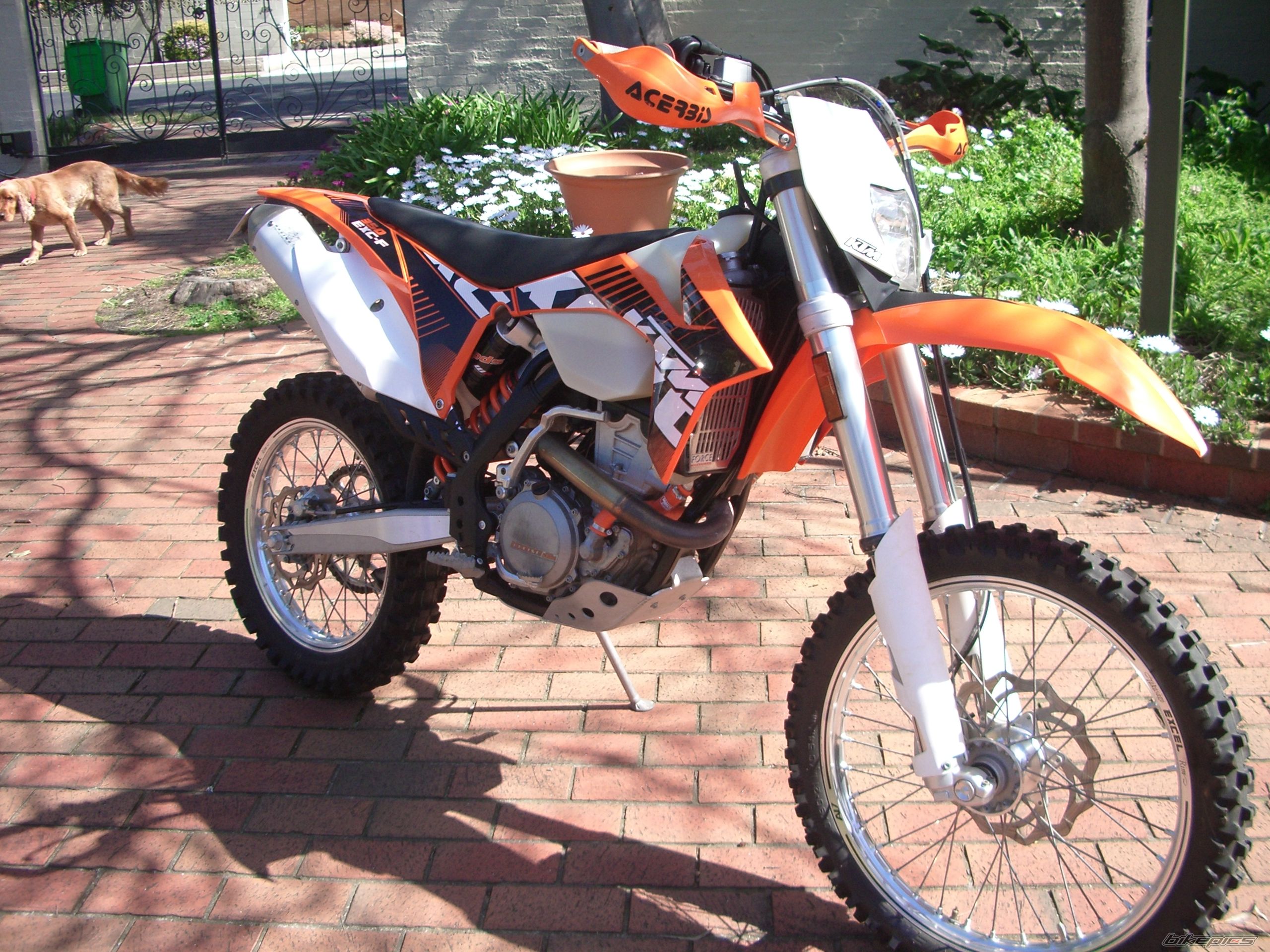 Photo 2578872