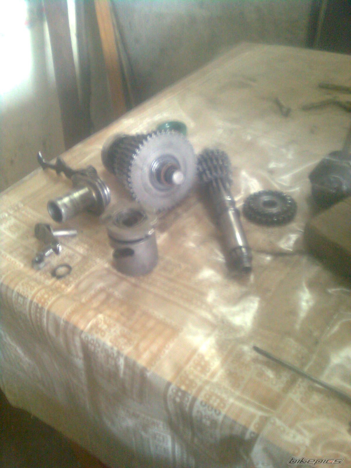 Photo 2578881