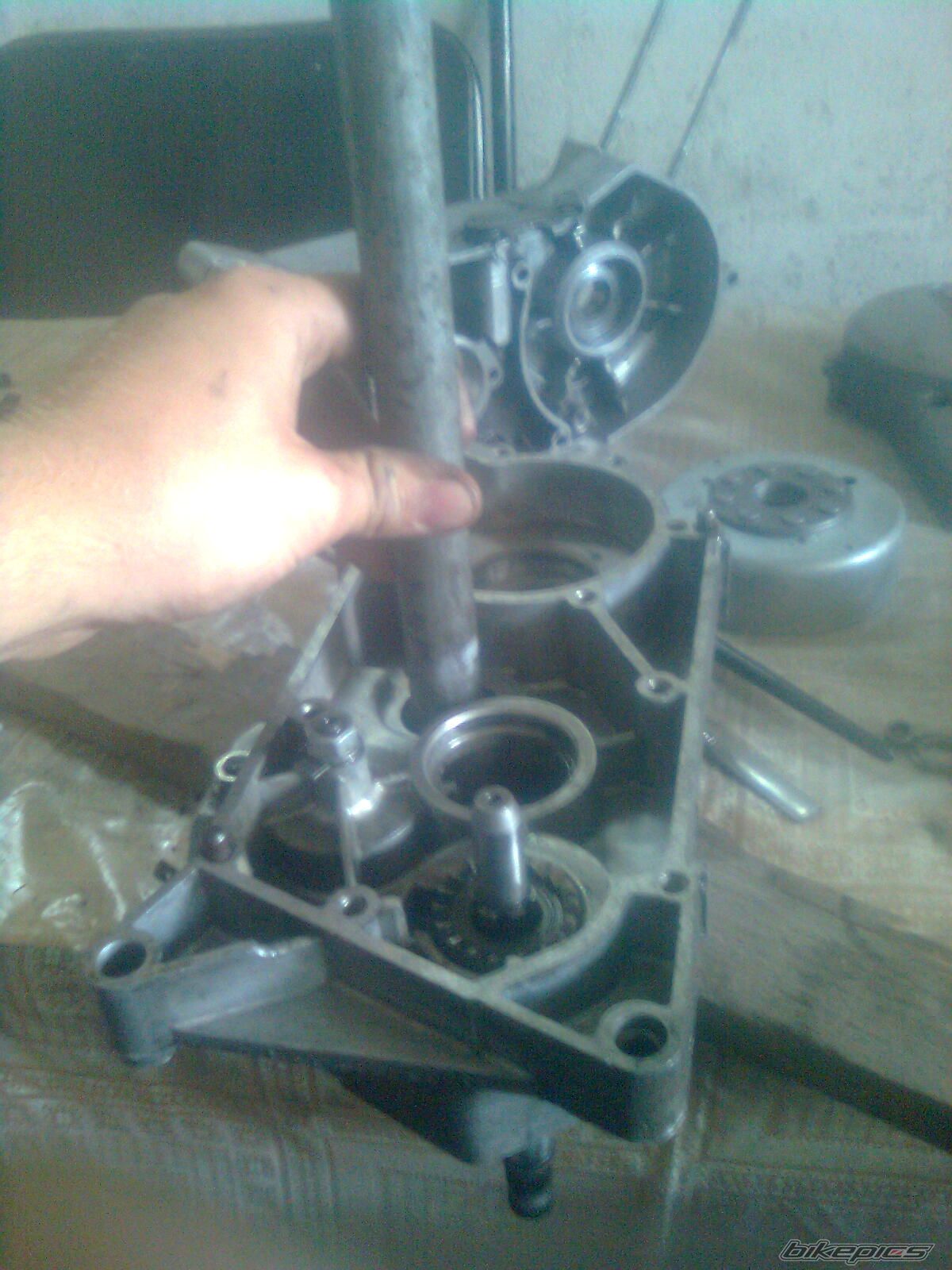 Photo 2578884