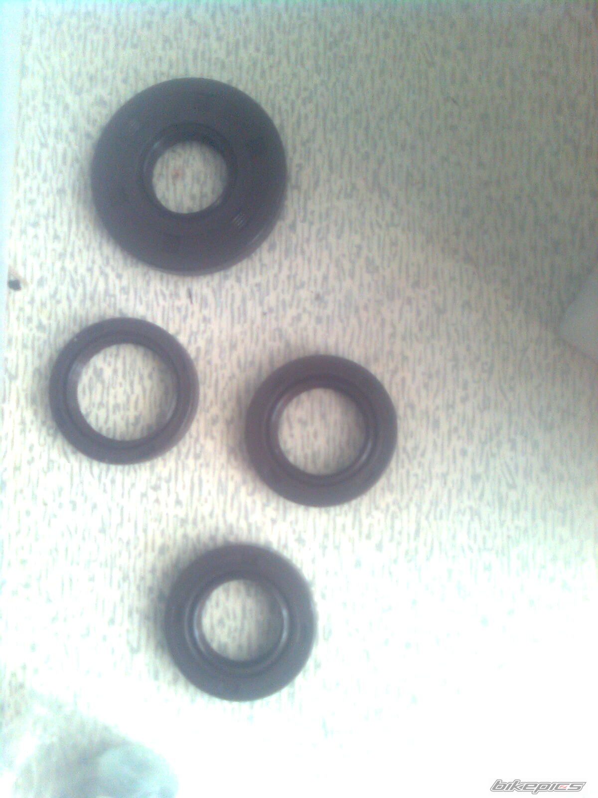 Photo 2578895
