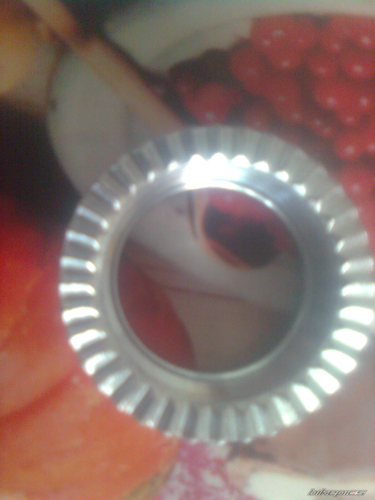 Photo 2578898