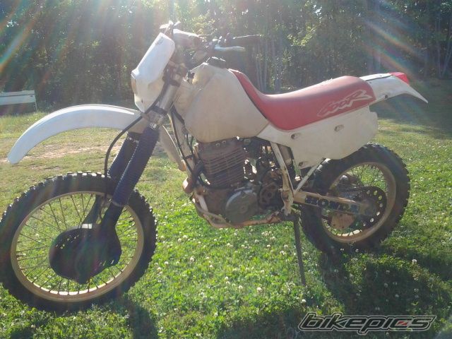 Photo 2578954