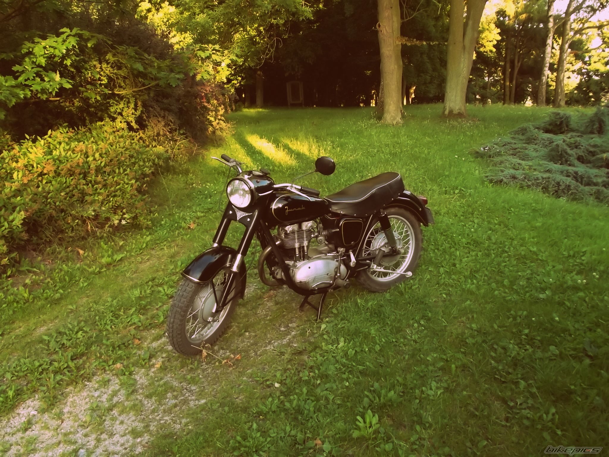 Photo 2579049