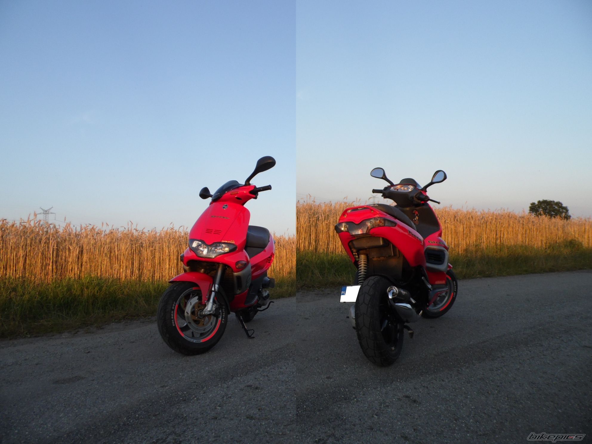 Photo 2579070
