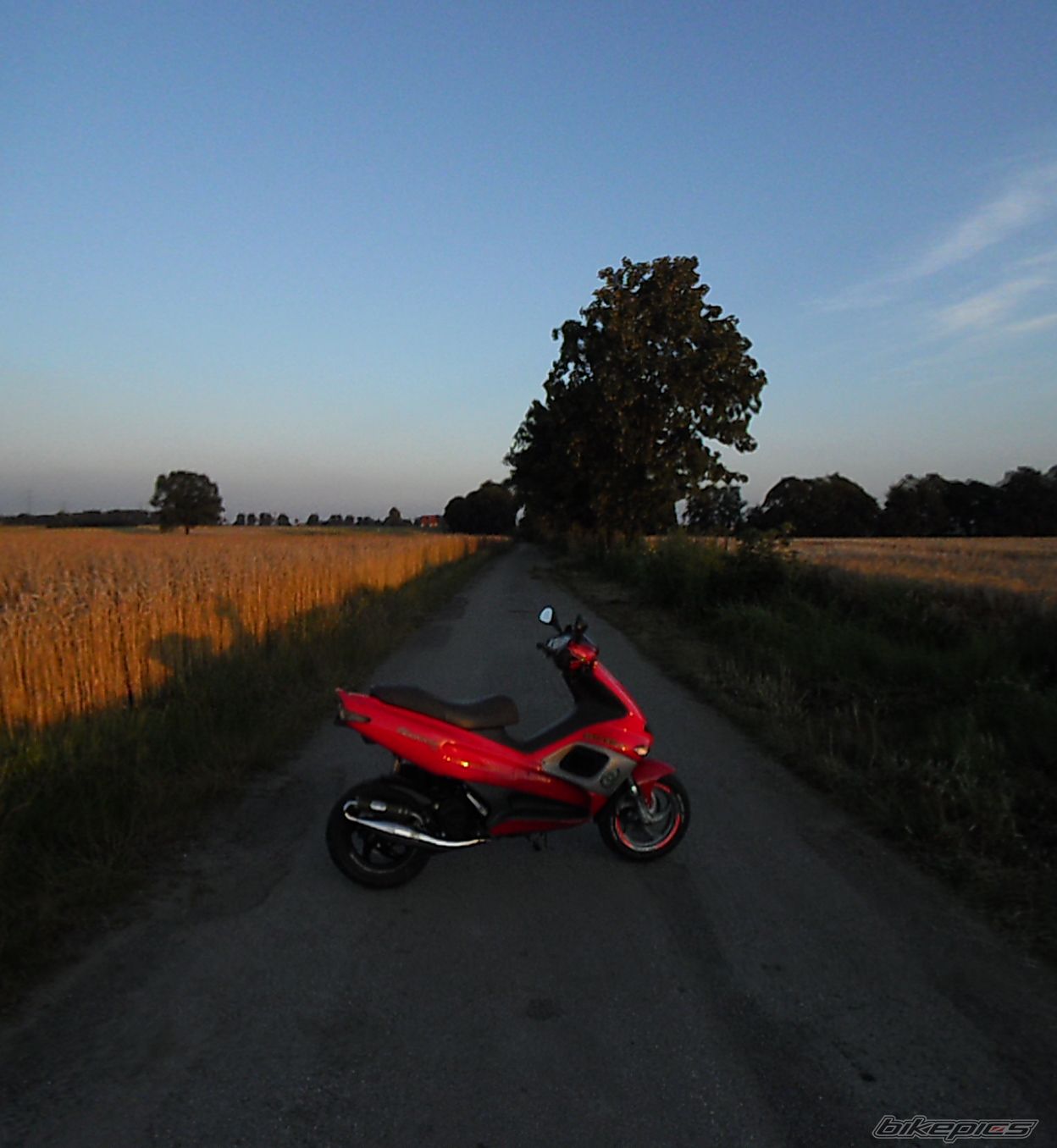 Photo 2579075