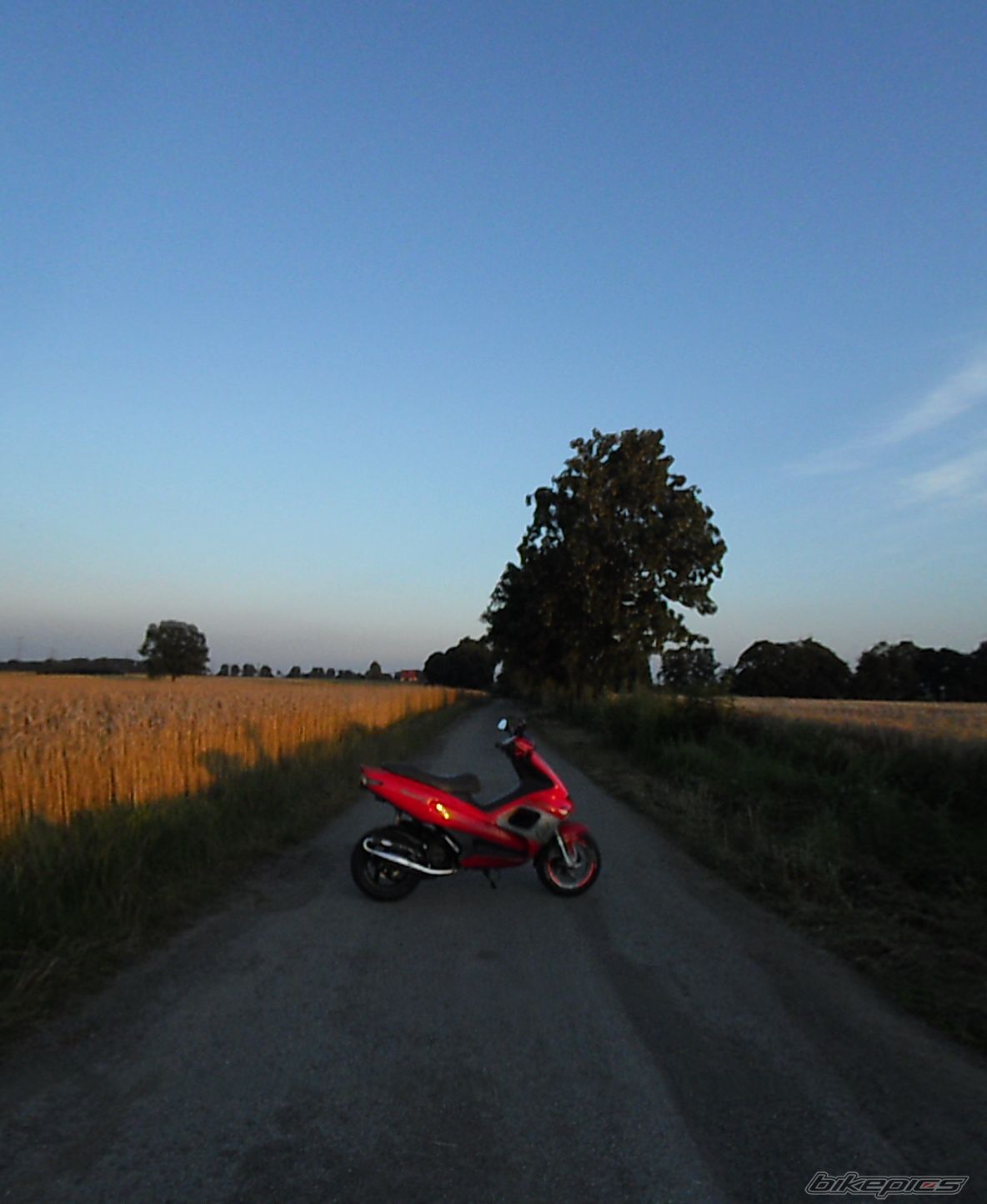 Photo 2579080