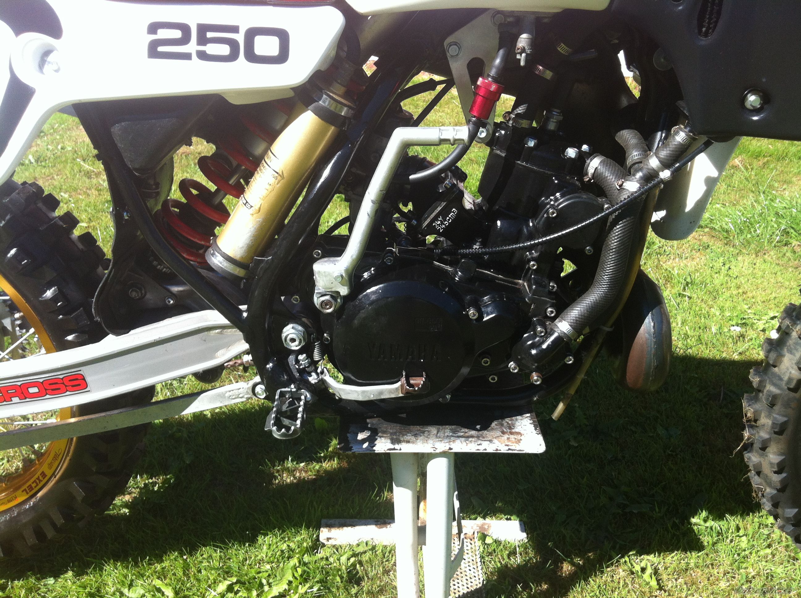 Photo 2579130