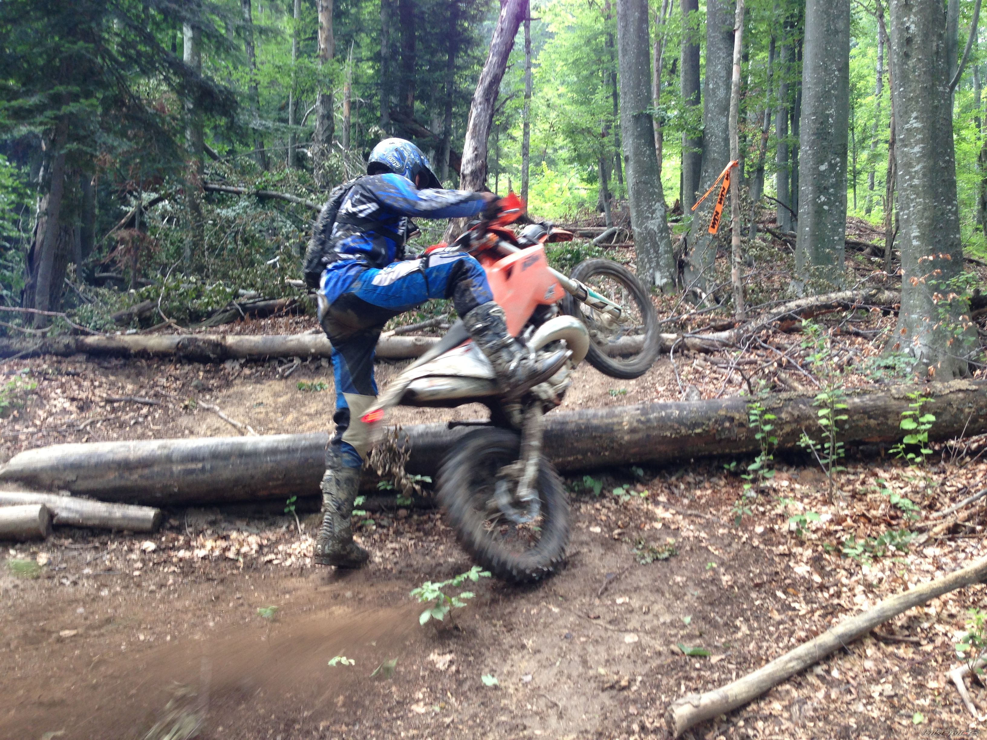 Photo 2579144