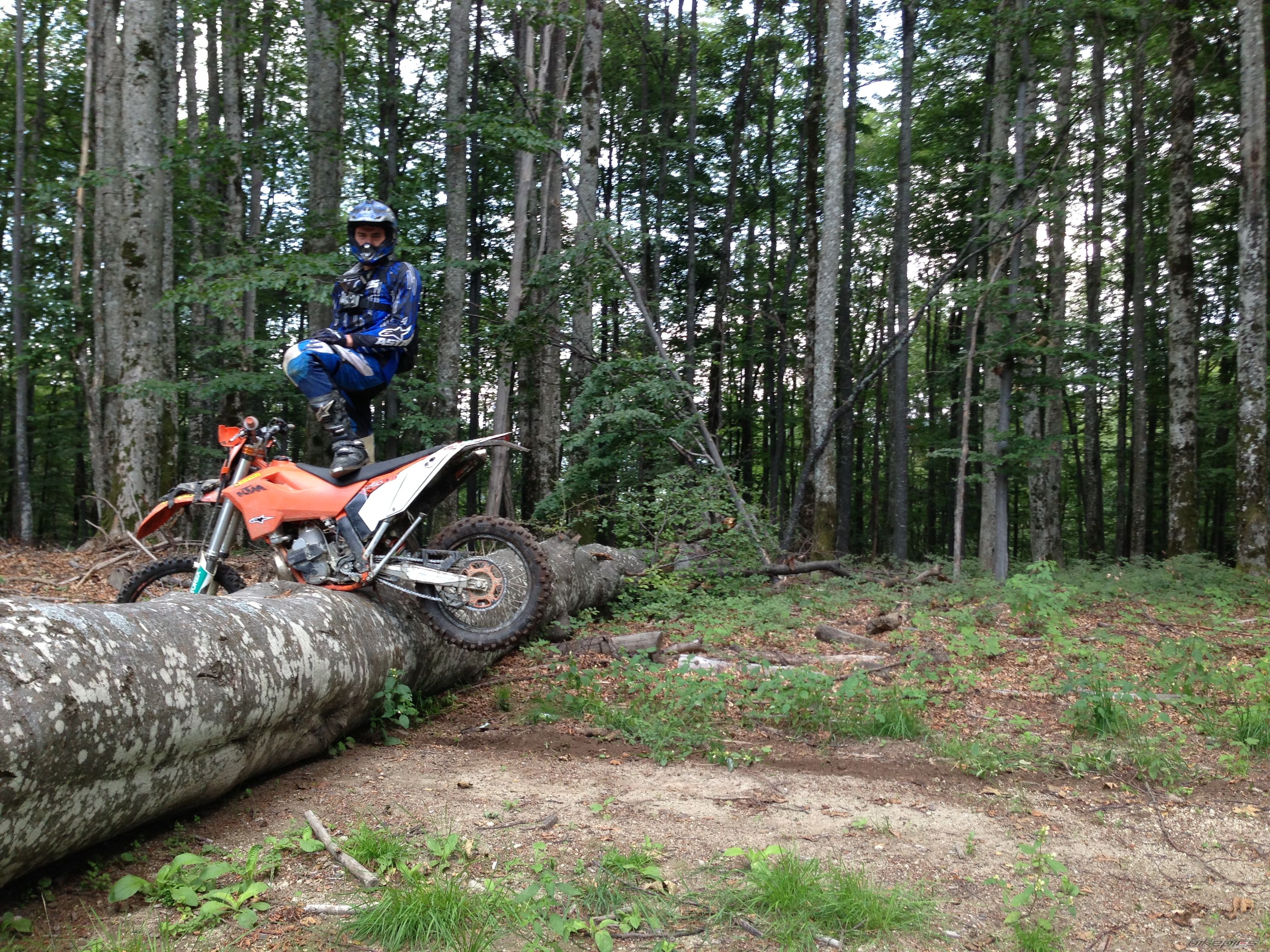 Photo 2579156