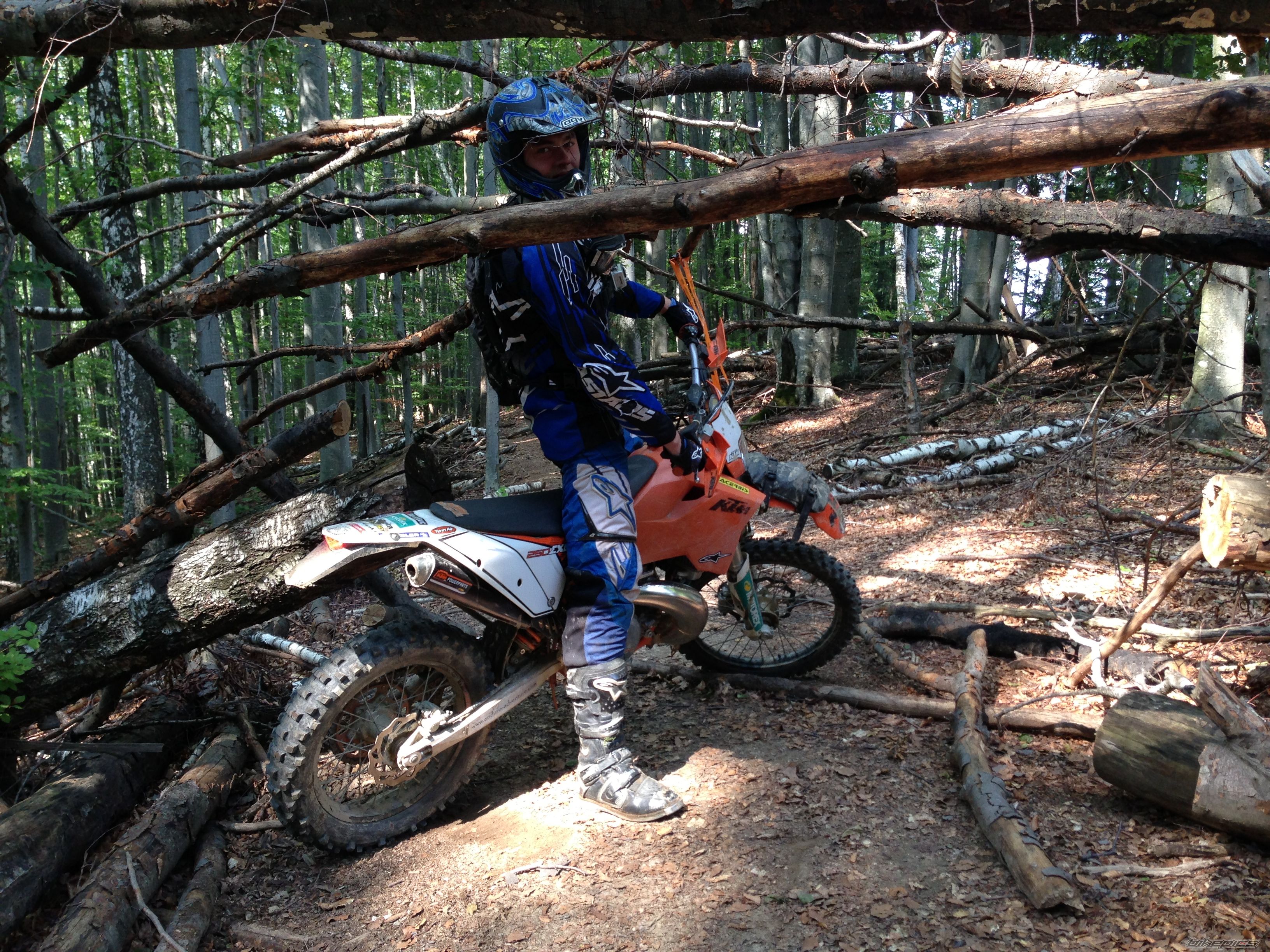 Photo 2579157