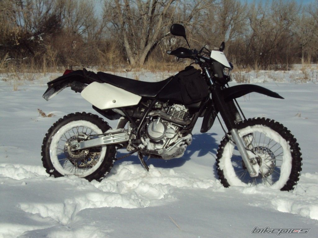 Photo 2579181