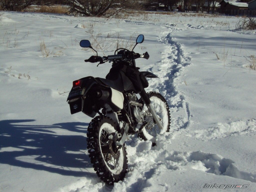 Photo 2579194