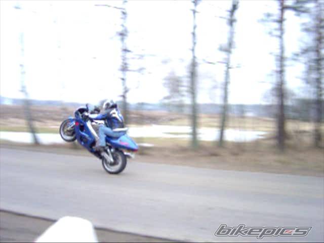 Photo 257921