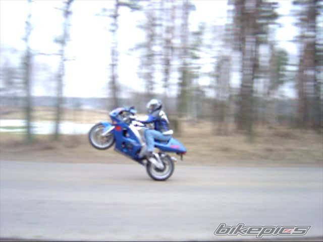 Photo 257922