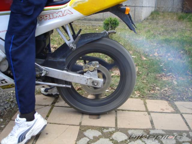 Photo 257928