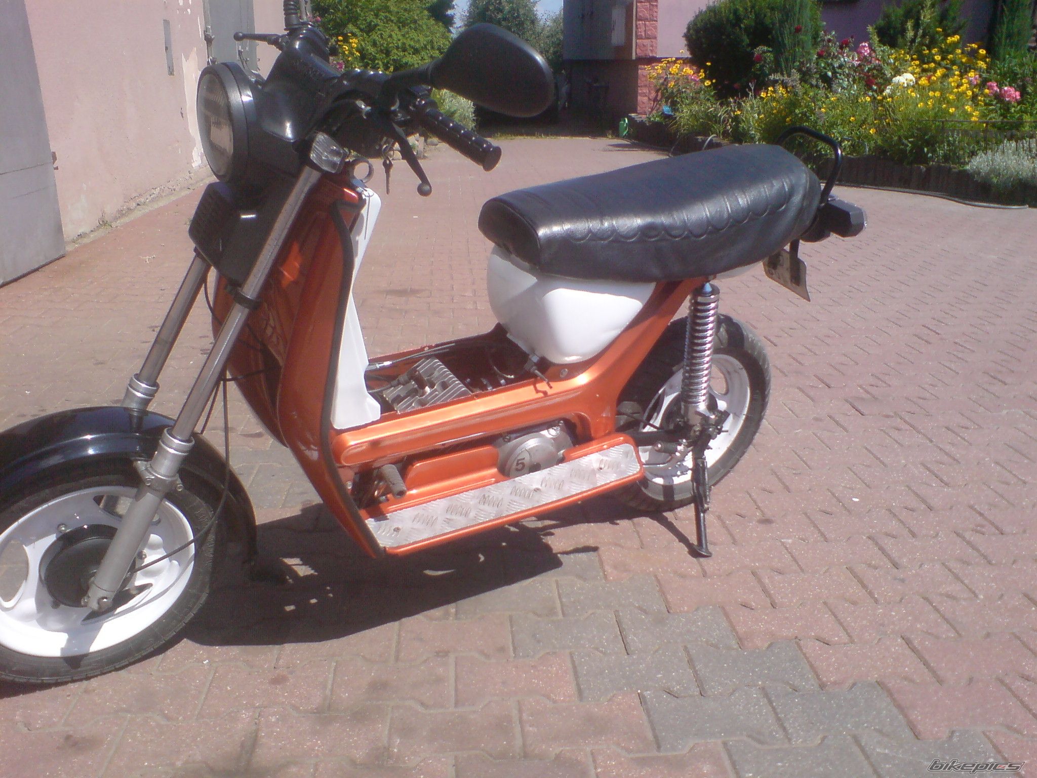 Photo 2579280
