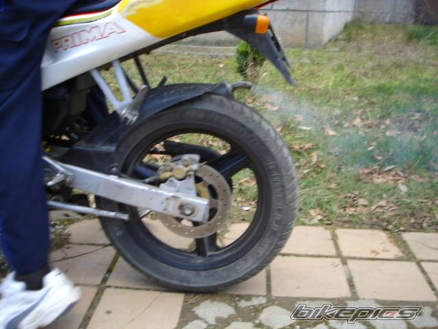 Photo 257931
