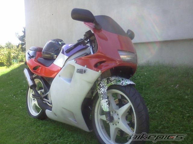 Photo 2579311