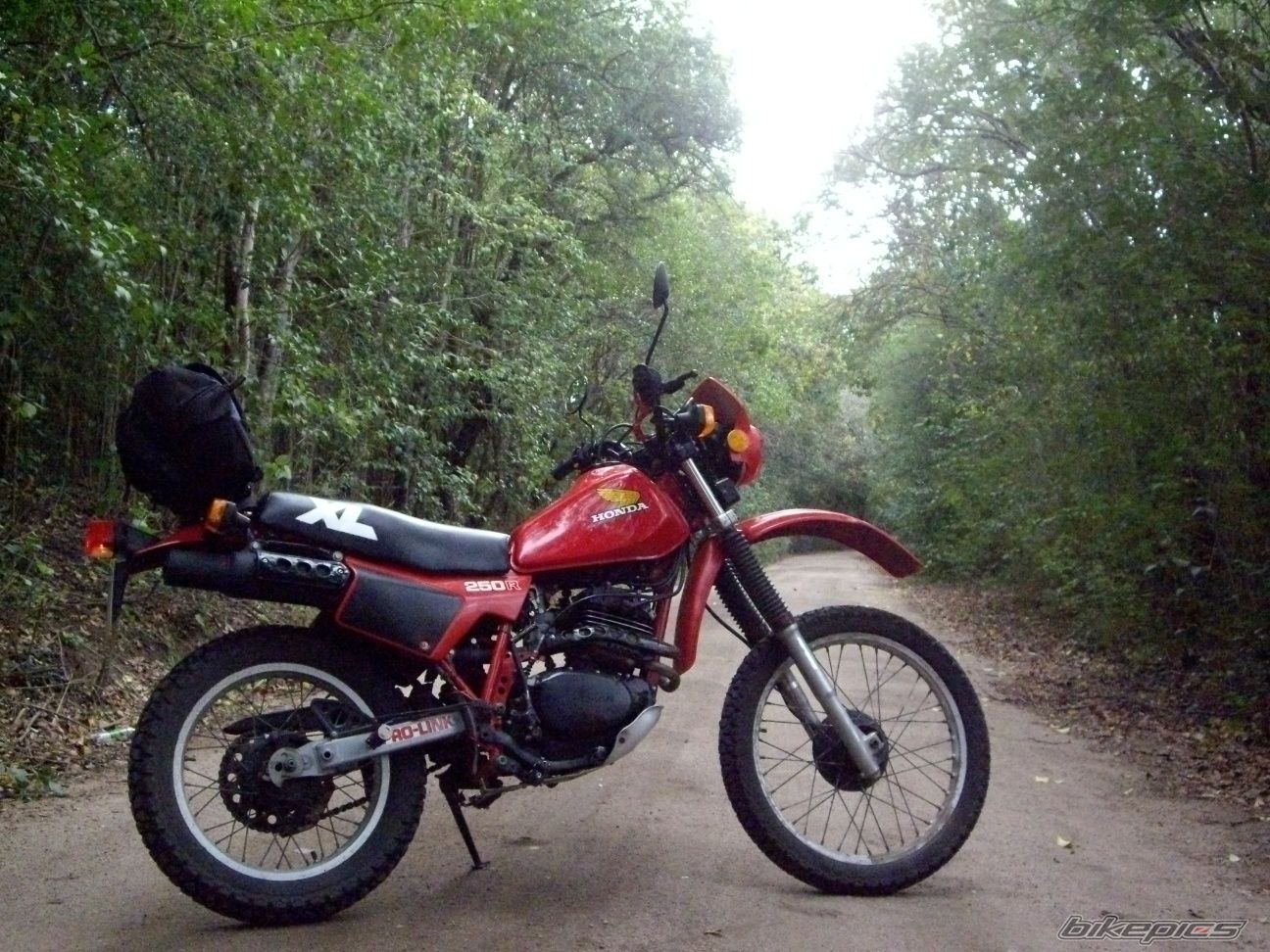 Photo 2579322