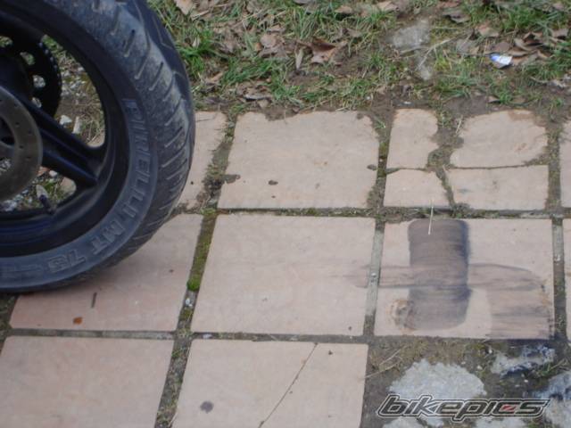 Photo 257935