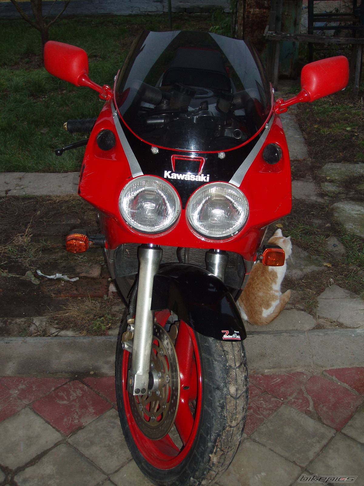 Bike Photo 257937