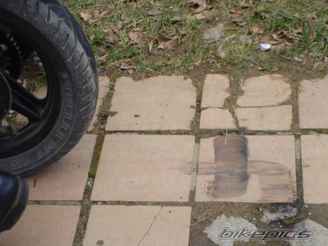 Photo 257942