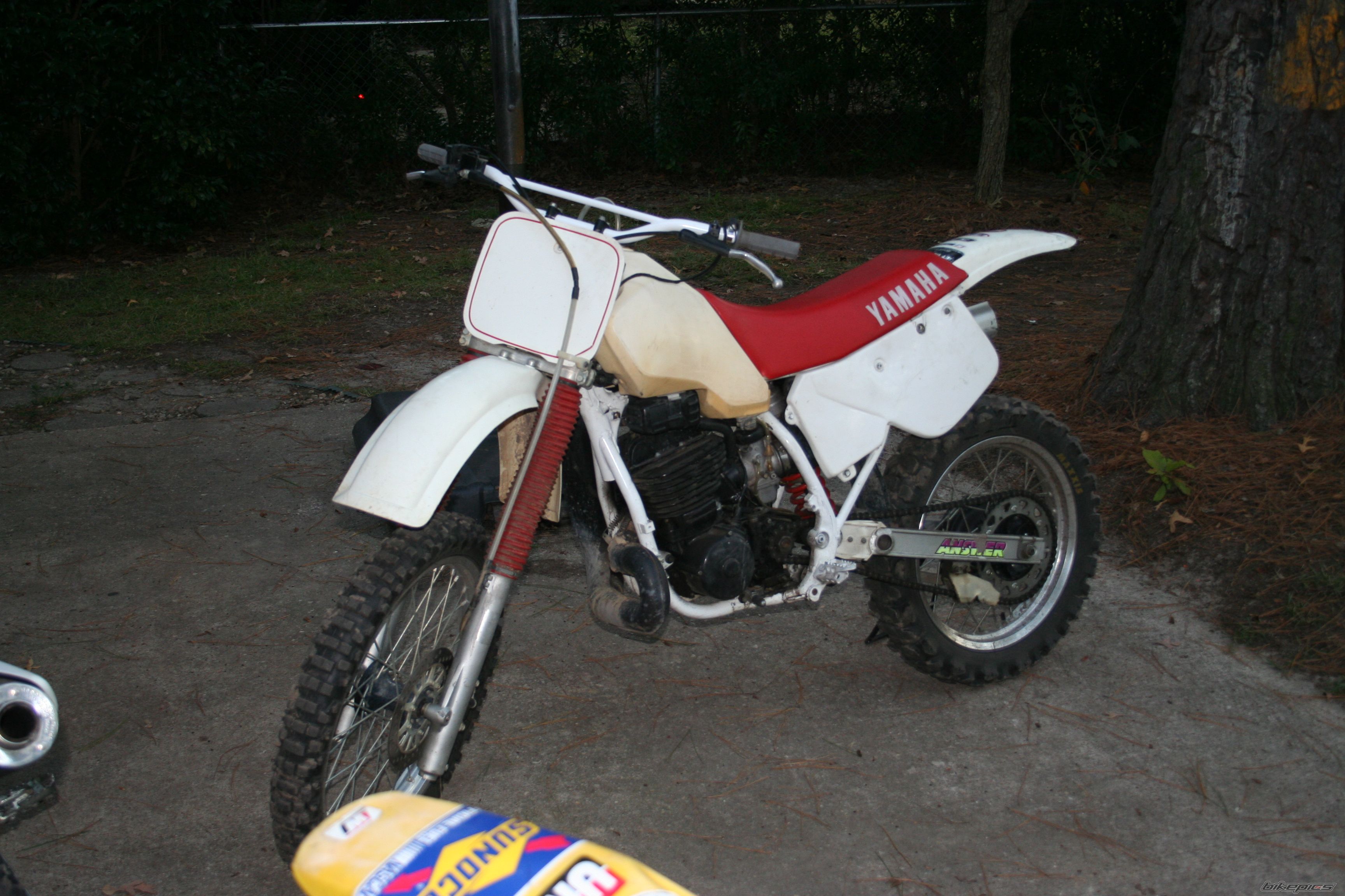 Photo 2579432
