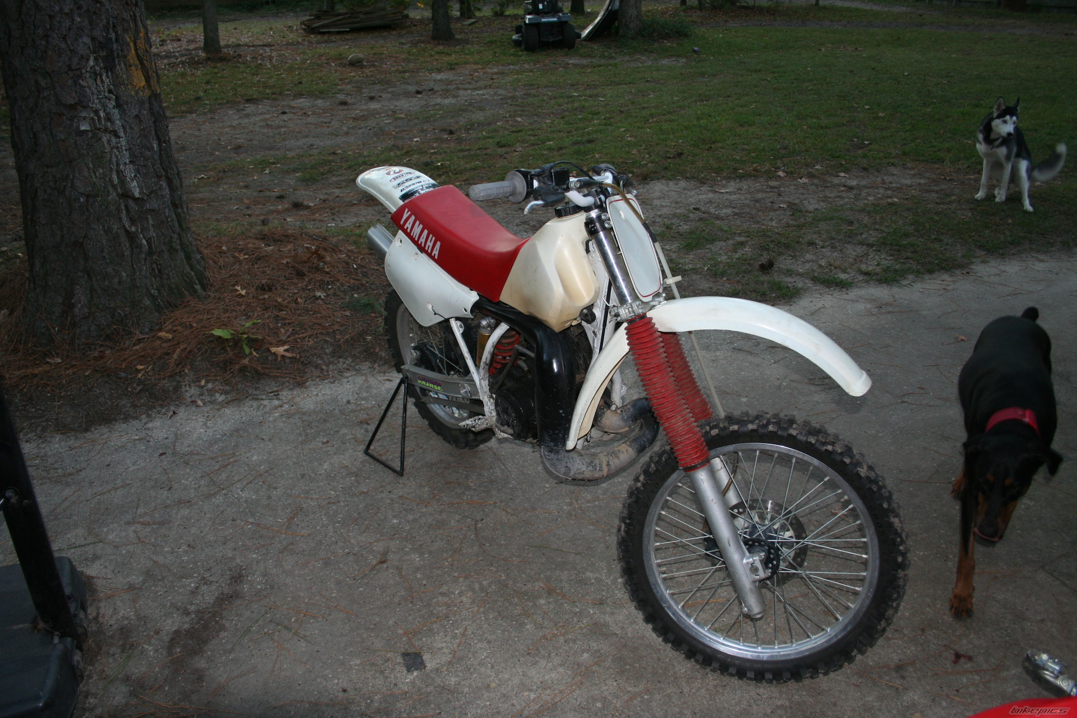 Photo 2579435