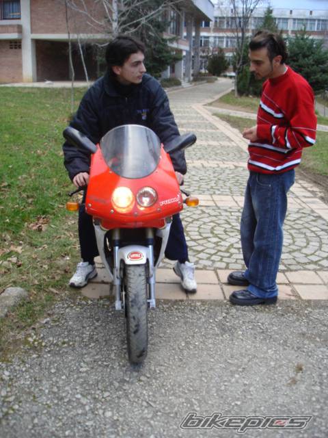 Photo 257944