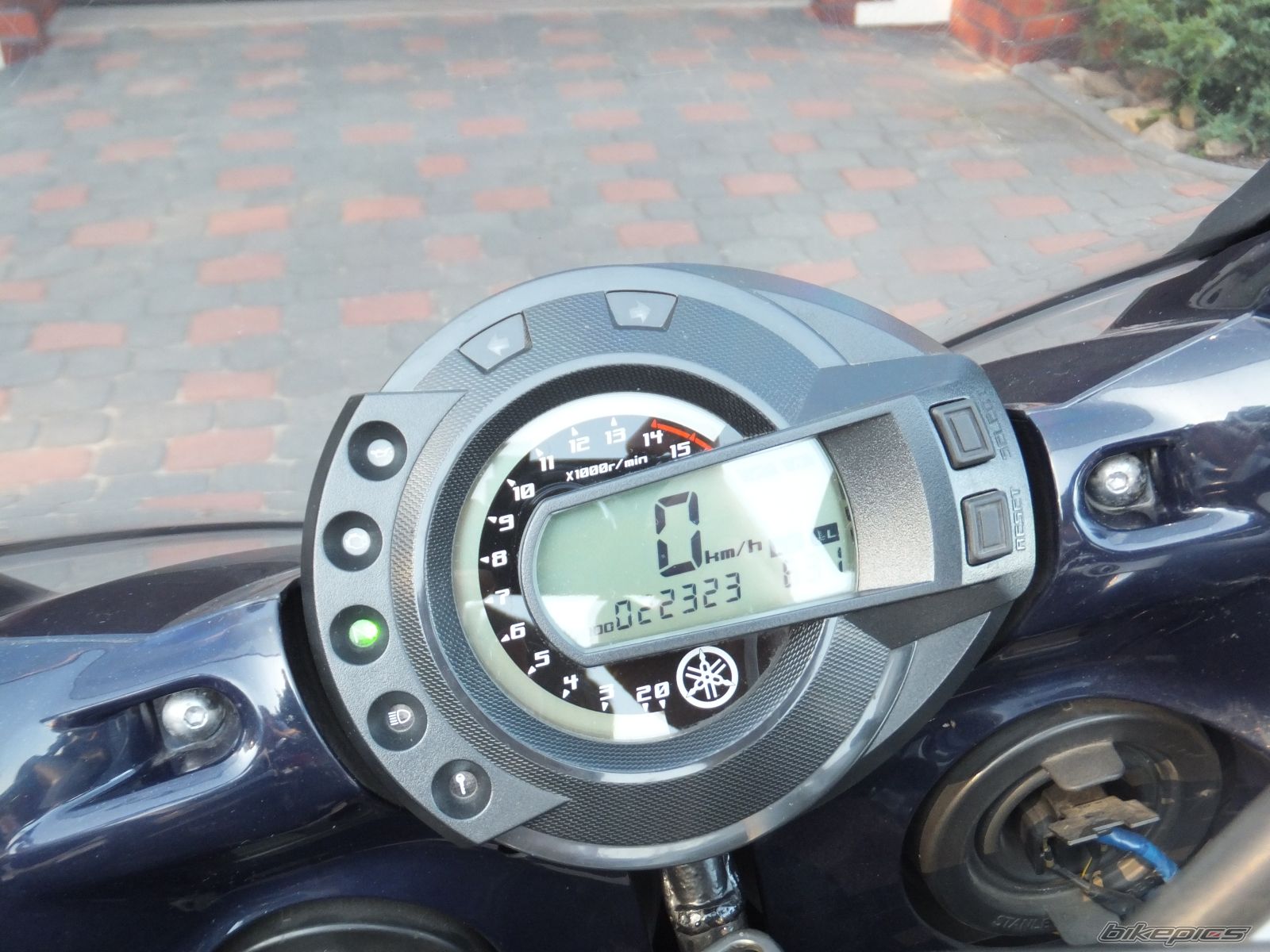 Photo 2579470