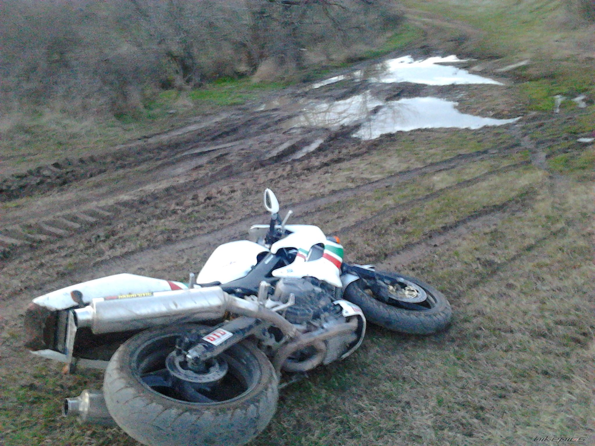 Photo 2580181