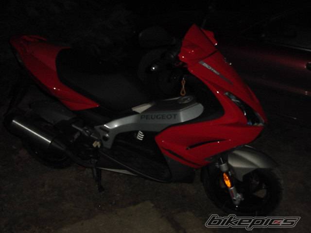 Photo 258021