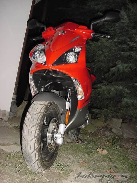 Photo 258026