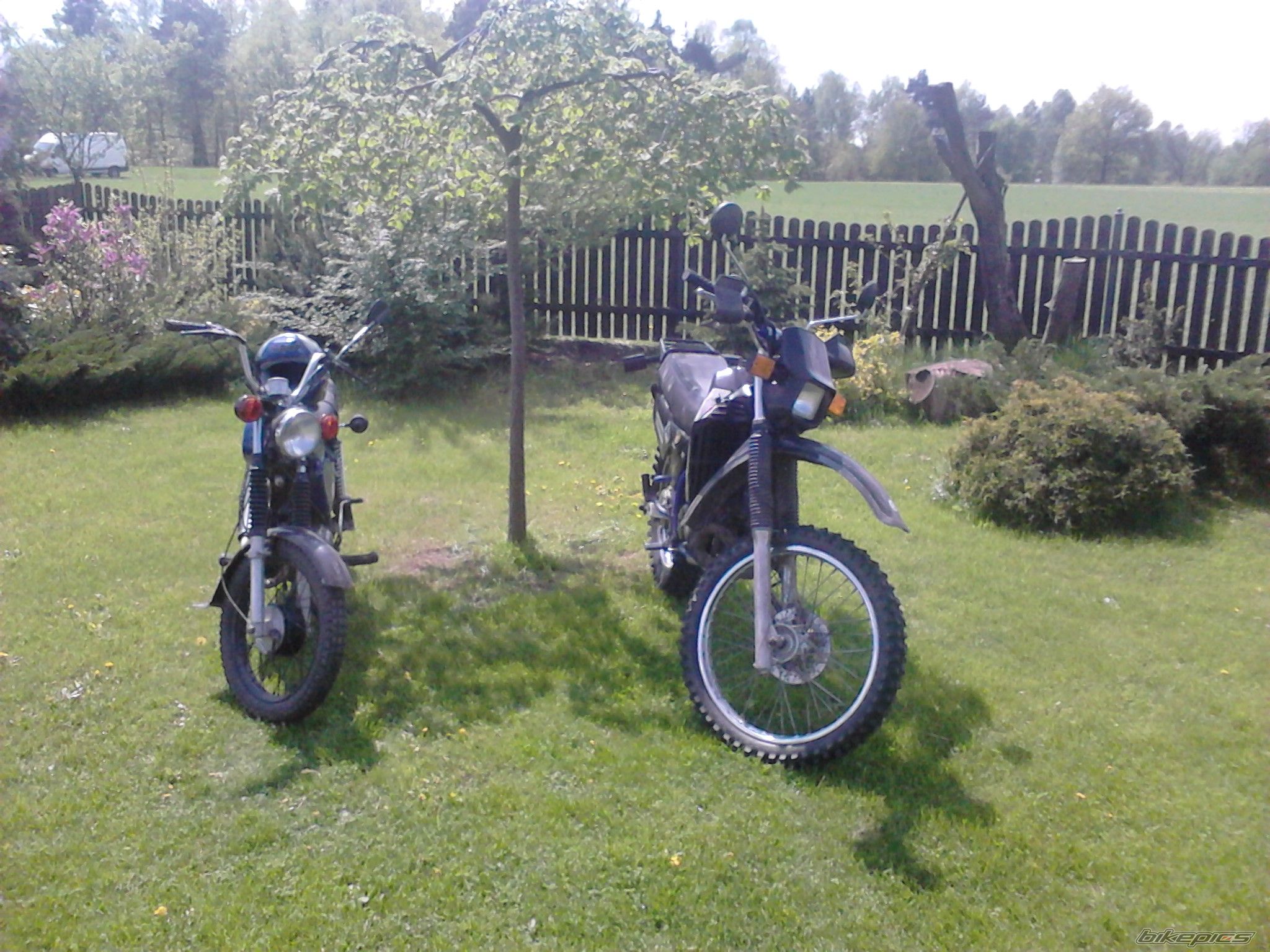 Photo 2580423