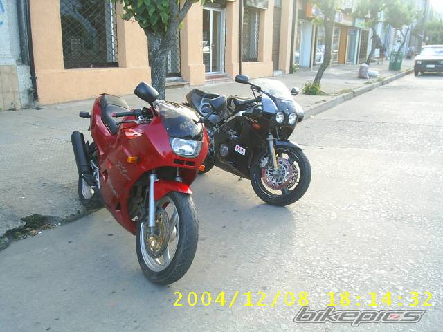 Photo 258061
