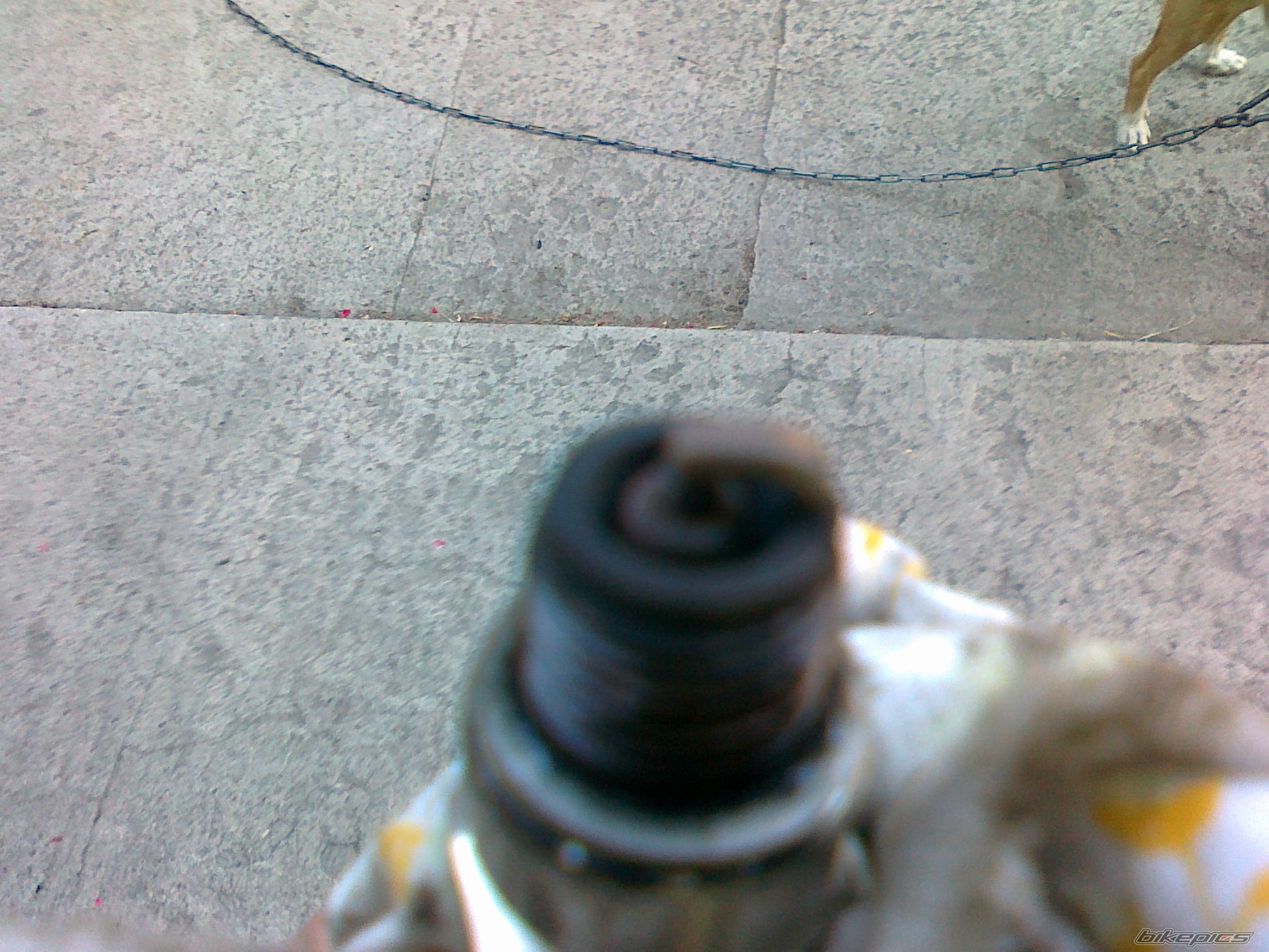 Photo 2580770