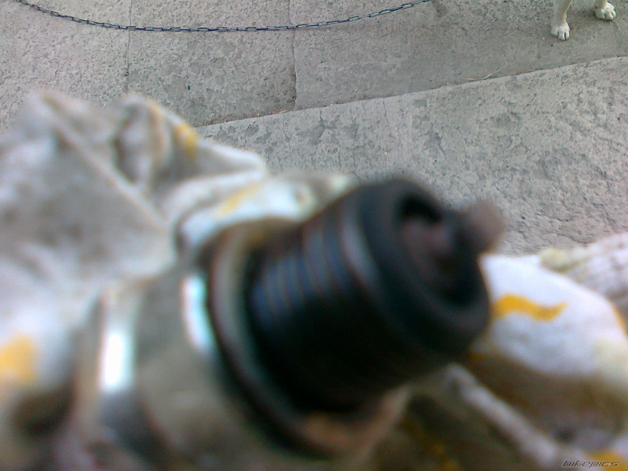 Photo 2580771