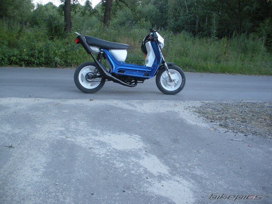 Photo 2580811