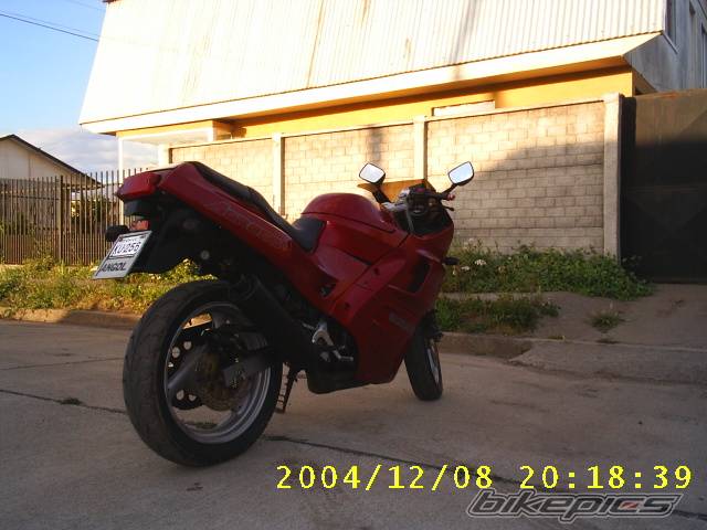 Photo 258087