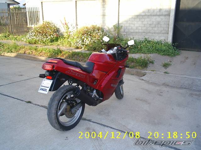 Photo 258089
