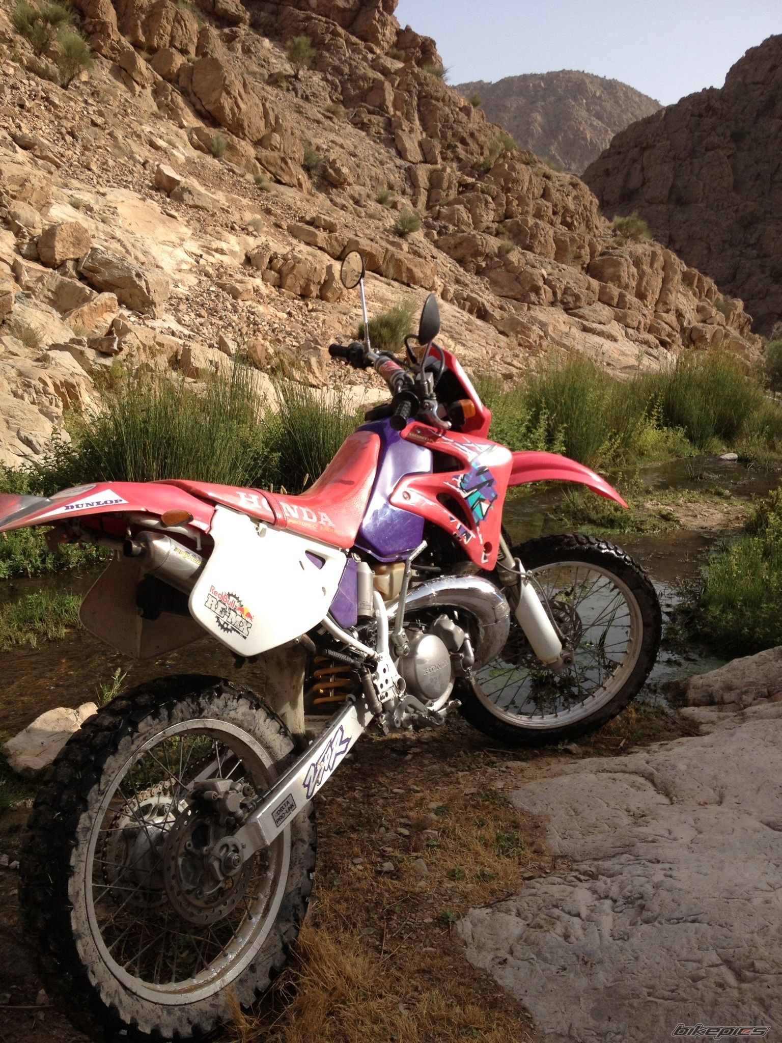 Photo 2580962
