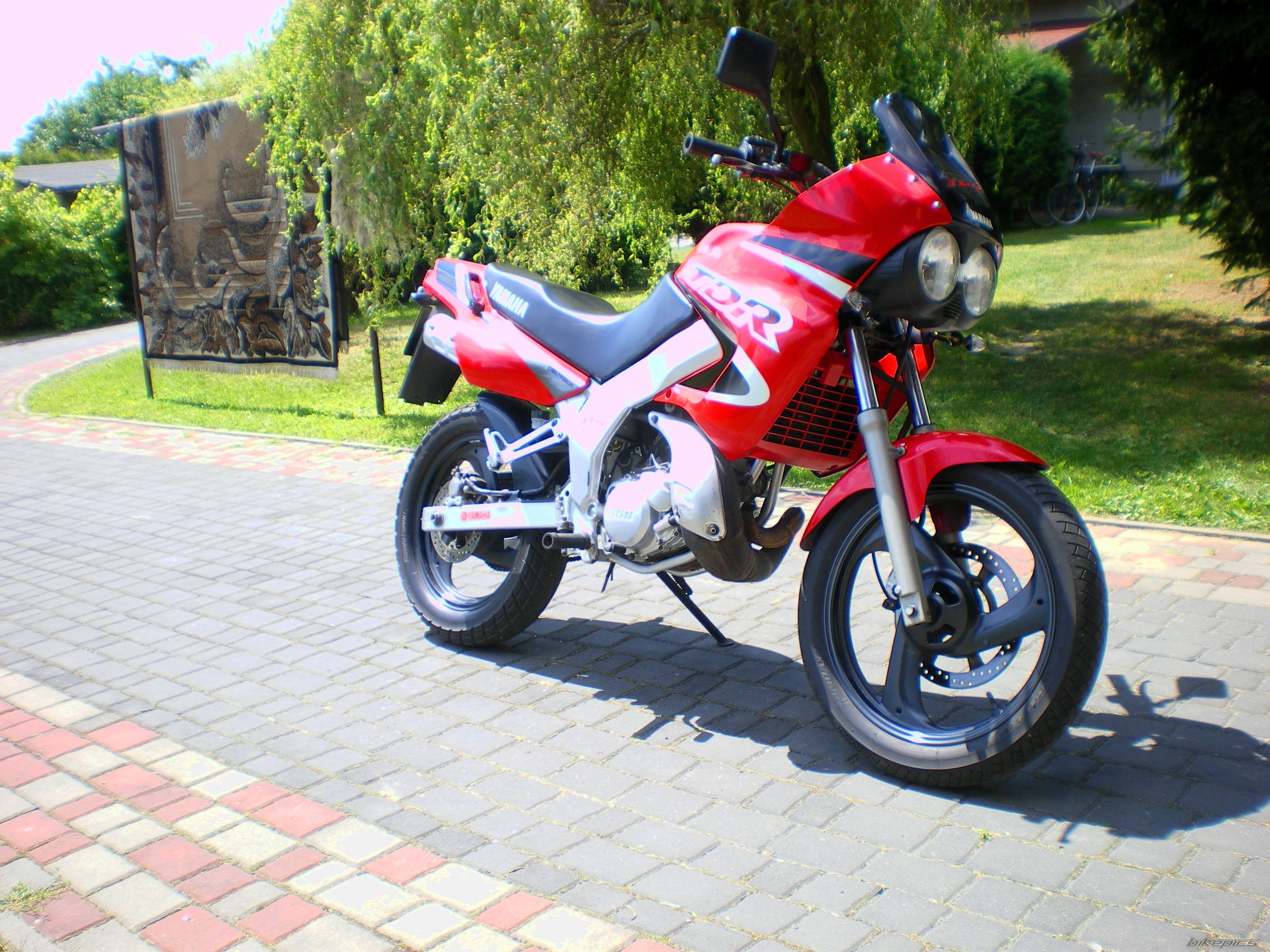 Photo 2580983