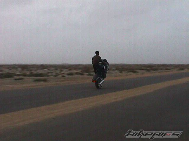 Photo 2581